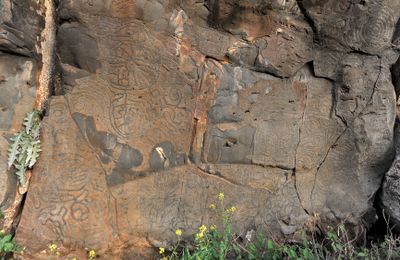 Benahoarite petroglyphs