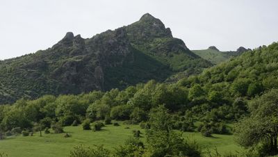 Steveniella satyrioides var. iranica. Habitat.jpg