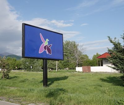 Ophrys oestrifera signs.2.jpg