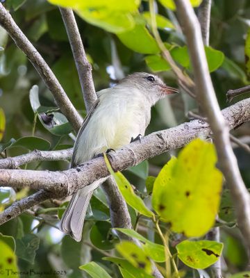 bird5 9-11-23.jpg