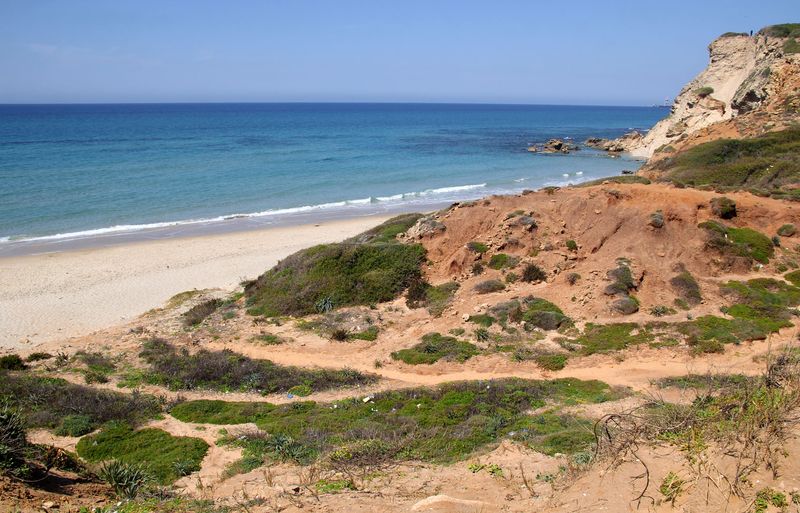 Gador-Beach_12-3-2023 (6).JPG