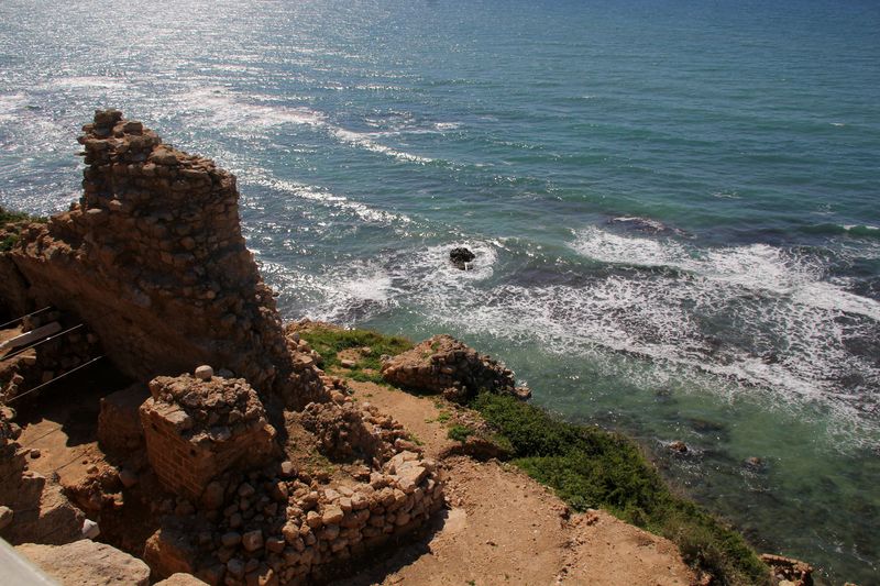 Apolonia_16-3-2023 (87).JPG