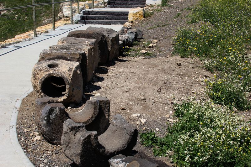 Susita_1-4-2023 (29).JPG