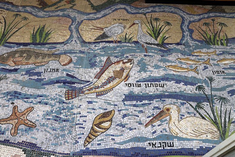 Ako-Tunisian-Synagogue_7-8-2023 (2).JPG