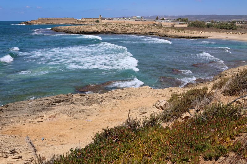 Neve-Yam_10-8-2023 (90).JPG