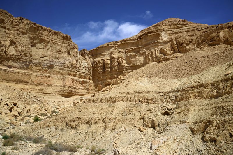 Negev_14-3-2024 (3).JPG