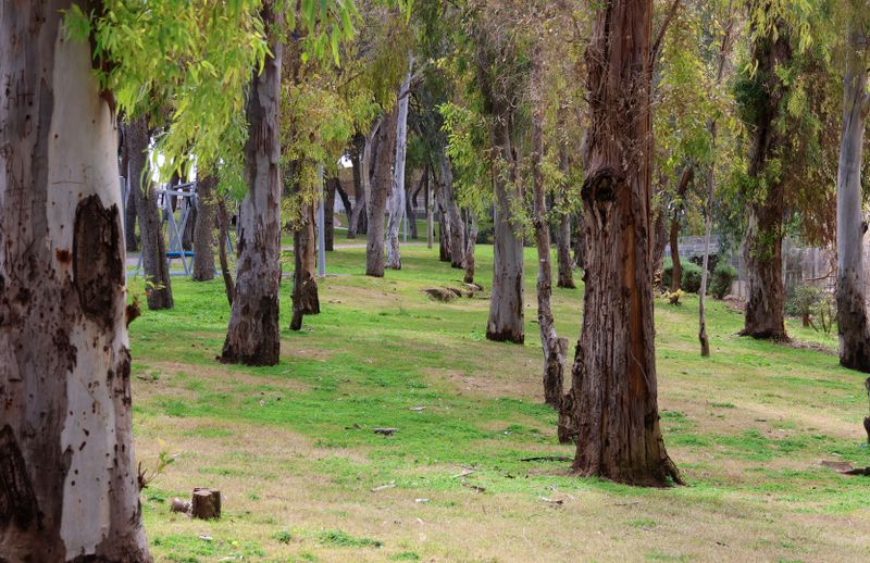 Nahariya_7-3-2024 (17).JPG