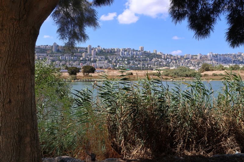 Kishon-Haifa_3-9-2024 (7).JPG