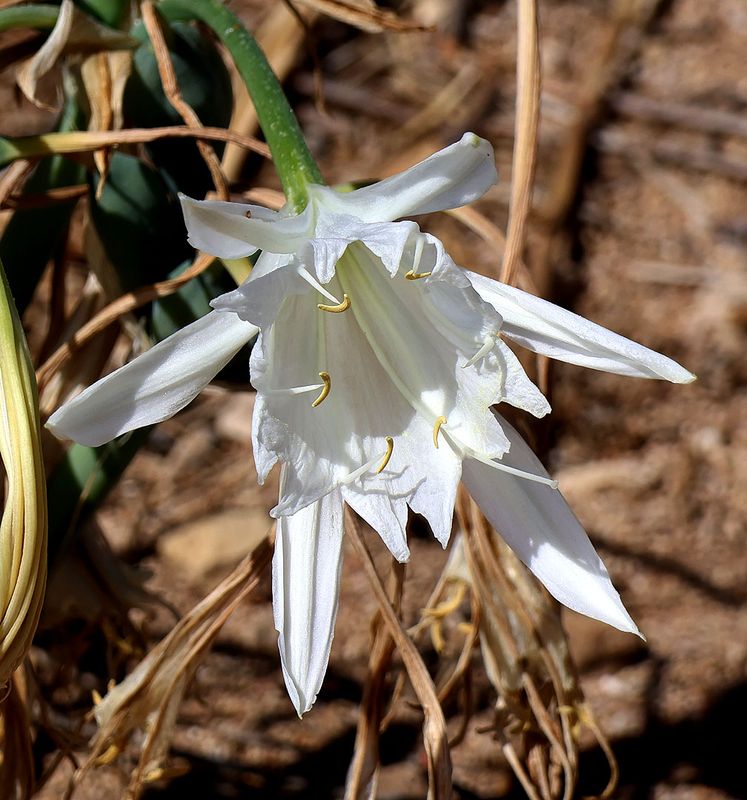 Nahariya_16-9-2024 (5).JPG