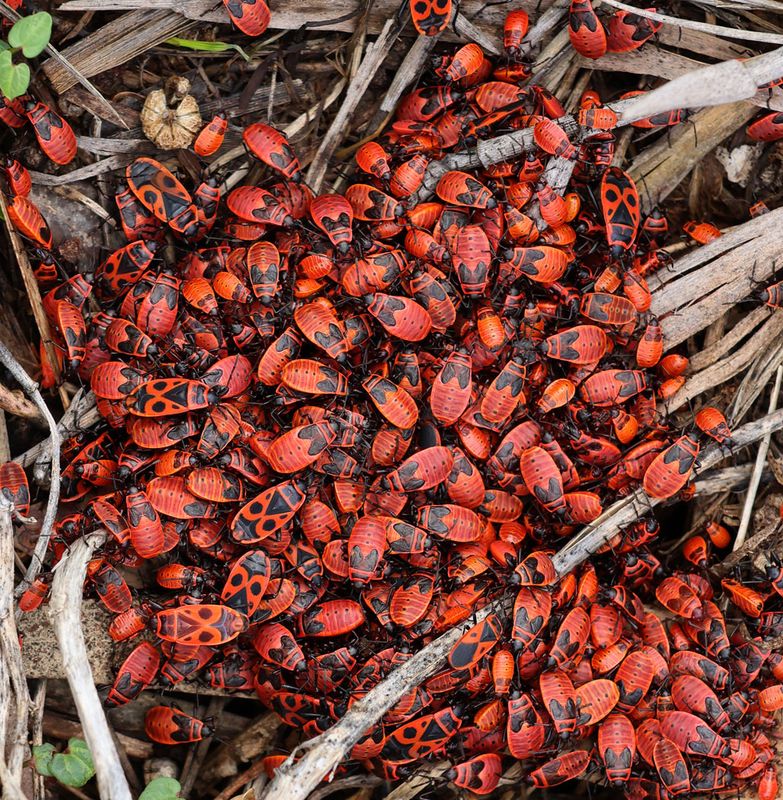 Naaman_7-12-2023 (59).JPG