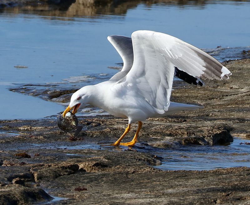 Nahariya_30-3-2025 (13).JPG