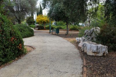 Karmiel_3-12-2022 (44).JPG