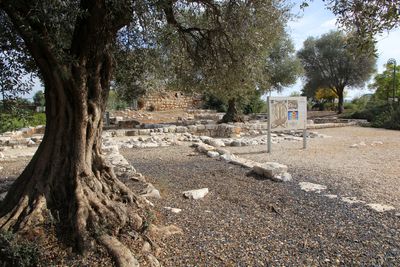 Karmiel_3-12-2022 (28).JPG