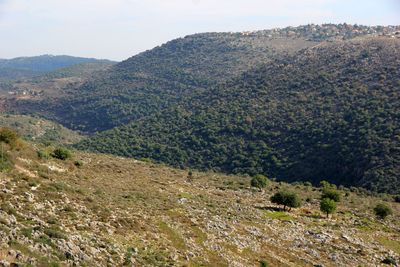 Karmiel_3-12-2022 (67).JPG