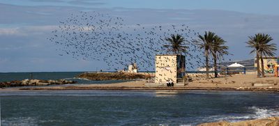 Nahariya_9-2-2023 (129).JPG