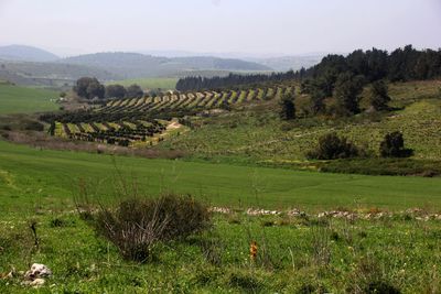 Ramot-Menashe_4-3-2023 (9).JPG