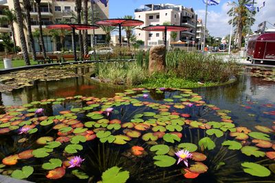 Nahariya_6-7-2023 (16).JPG