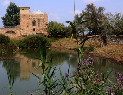 Ein-Afek_15-8-2023 (50).JPG