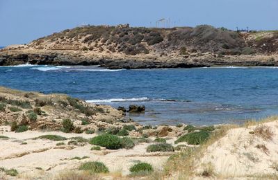 Dor-Beach_29-6-2023 (47).JPG