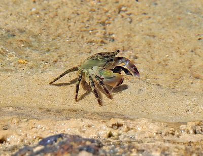 Nahariya_27-7-2023 (51).JPG