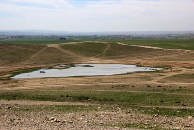 Tel-Arad_27-2-2020 (22).JPG