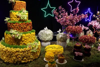 Tel-Aviv-Flowers-Show_24-4-2024 (88).JPG