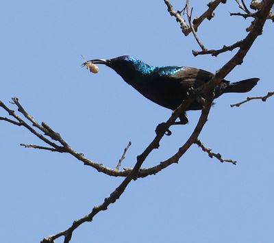 Kiryat-Motskin-Zoo_28-3-2024 (60).JPG
