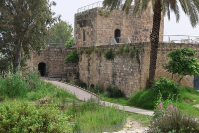 Ein-Afek_18-4-2024 (4).JPG