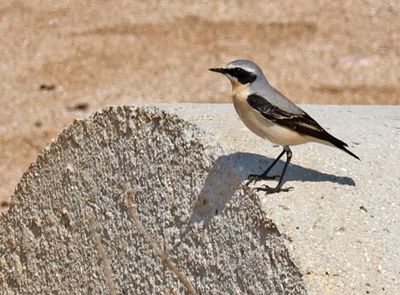 Nahariya_11-4-2024 (14).JPG