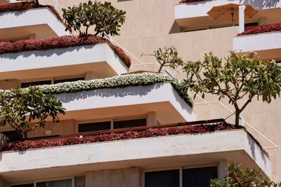 Eilat_12-3-2024 (85).JPG