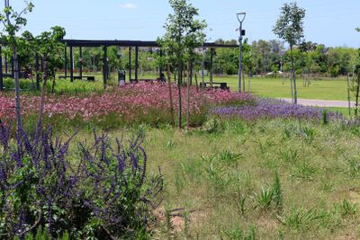 Nahariya_7-5-2024 (9).JPG