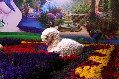 Tel-Aviv-Flowers-Show_24-4-2024 (103).JPG