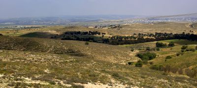Negev_14-3-2024 (77).JPG