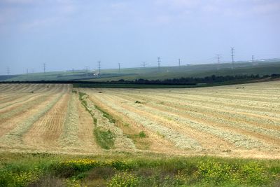 Negev_14-3-2024 (91).JPG