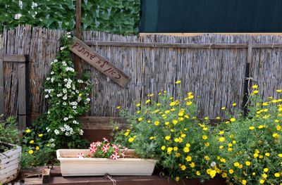 pardes-Hana_13-4-2024 (2).JPG