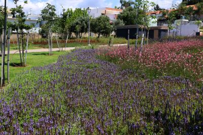 Nahariya_7-5-2024 (2).JPG