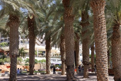 Eilat_12-3-2024 (48).JPG