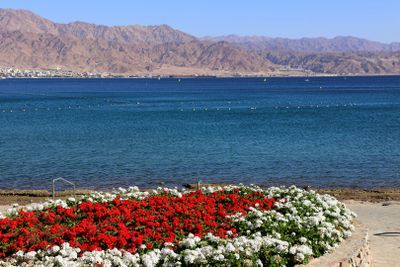 Eilat_11-3-2024 (114).JPG