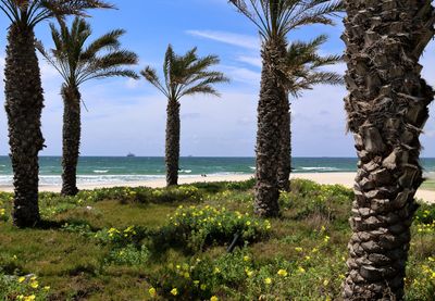Kiryat-Yam_7-4-2024 (4).JPG