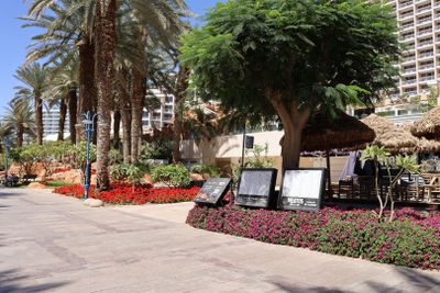 Eilat_12-3-2024 (69).JPG