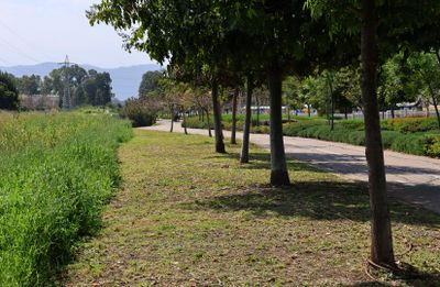 Kiryat-Bialik_21-3-2024 (2).JPG
