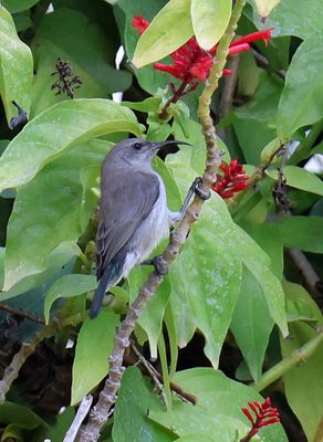 Home-Garden_24-11-2023 (50).JPG