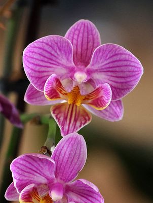 Eilat_11-3-2024 (30).JPG
