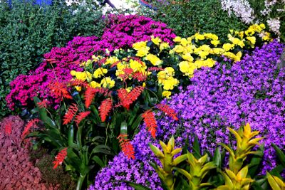 Tel-Aviv-Flowers-Show_24-4-2024 (38).JPG