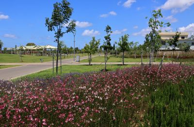 Nahariya_7-5-2024 (3).JPG