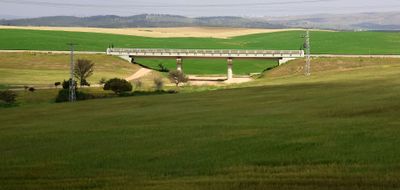 Negev_14-3-2024 (85).JPG