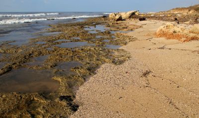 Nahariya_10-1-2020 (119).JPG