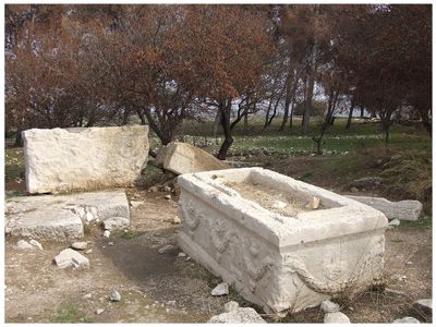 Tel Kadesh
