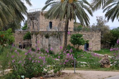 Ein-Afek_5-5-2024 (1).JPG