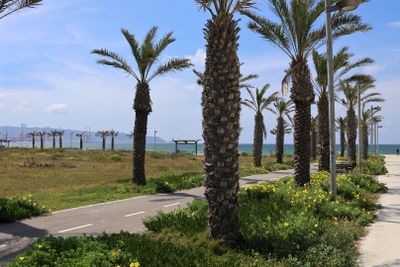 Kiryat-Yam_7-4-2024 (1).JPG